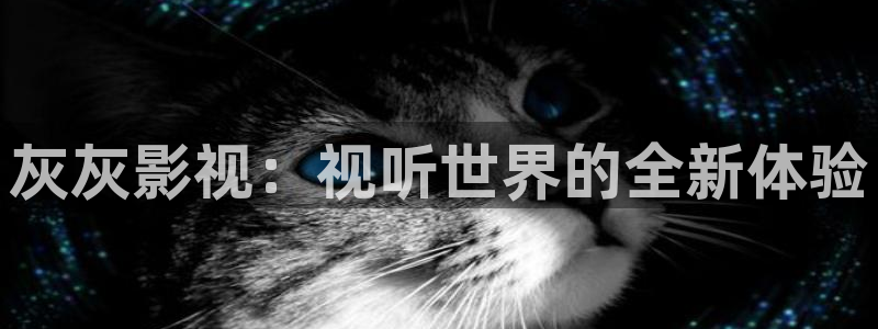 天天影院午夜电影