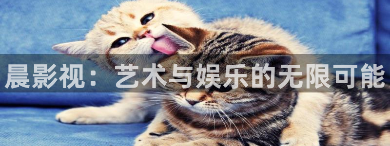 美国另类午夜电影网