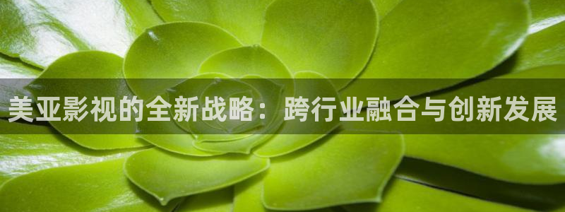 日本午夜理论理论电影电影理