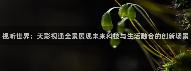 秋霞电影午夜伦理片