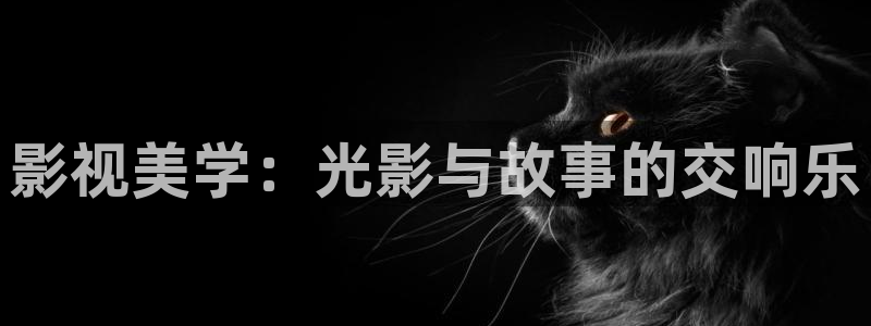 八戒午夜私人影院