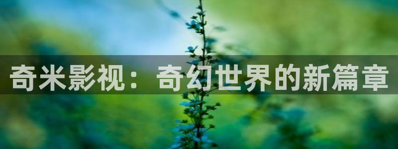 午夜影院电影免费观看