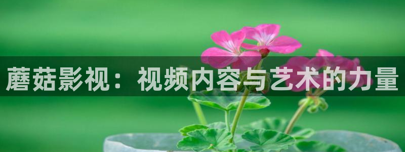 操美女逼午夜影院